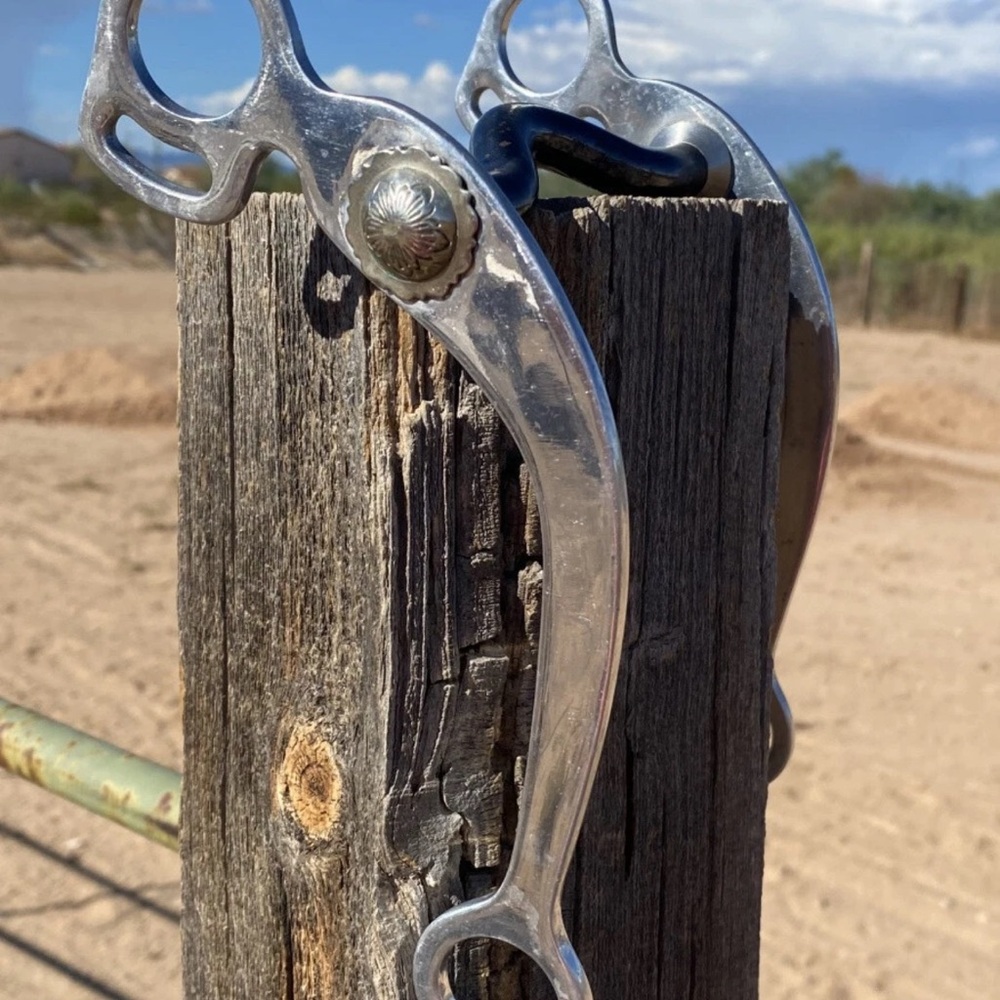 Horse Cutter Reiner bit, 5” sweet iron